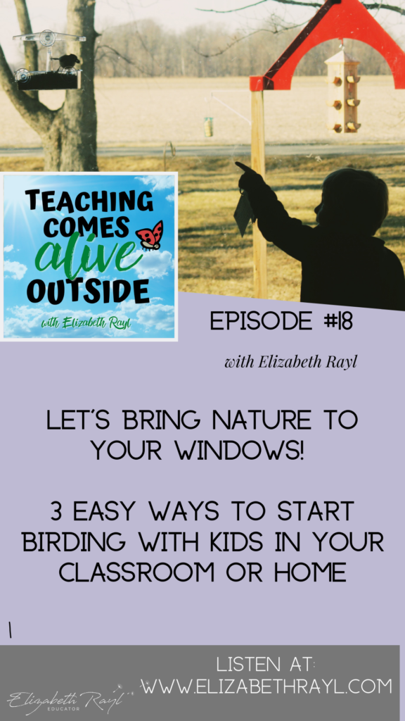 learning-about-birds